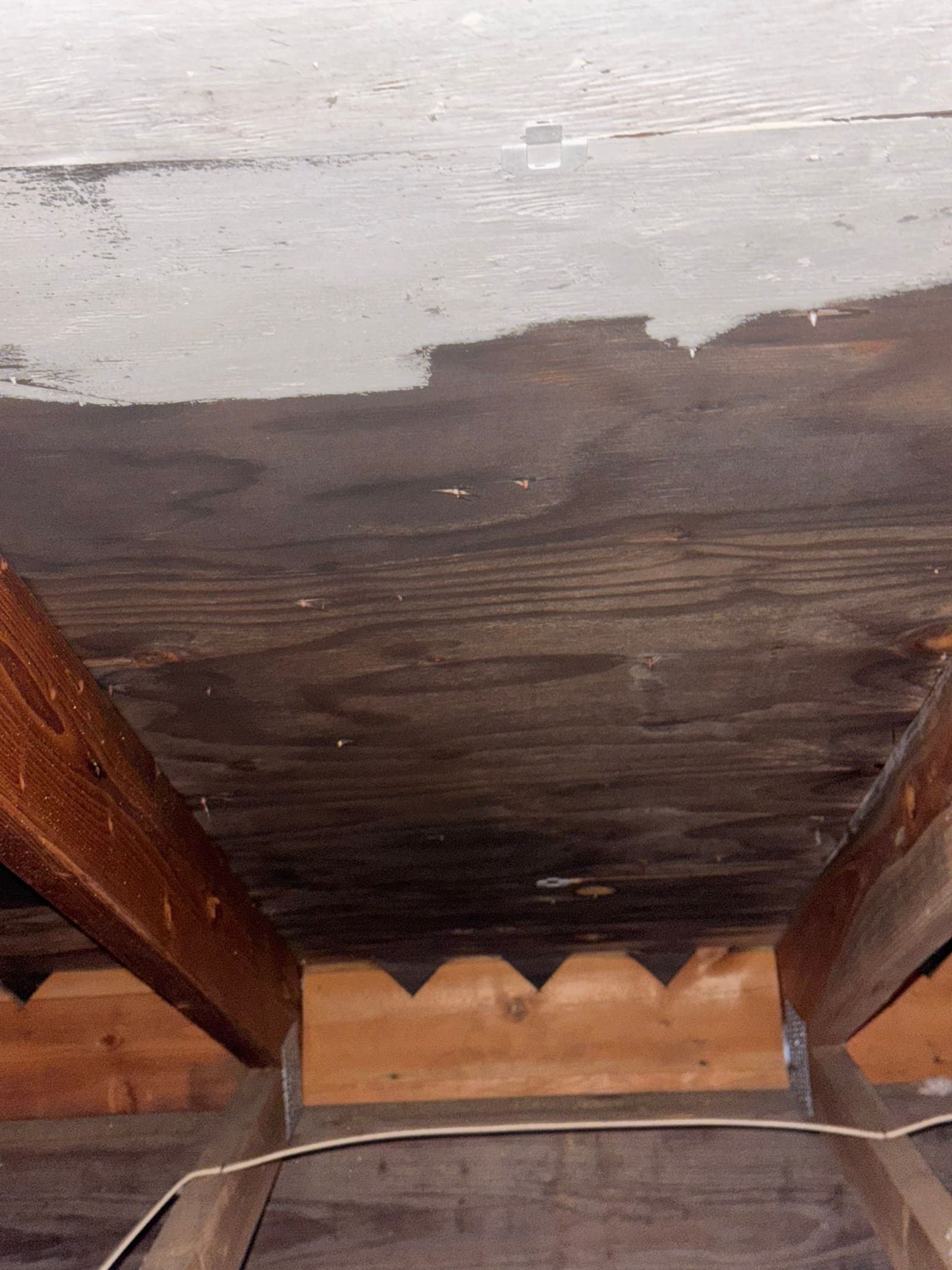 Water-damaged roof decking discovered during inspection